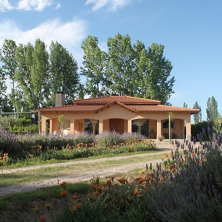Casona Aventurados Villa Lujan de Cuyo Exterior photo